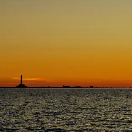 D' Amare